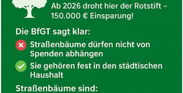 Bäume in der Stadt sind Pflicht und keine Kür