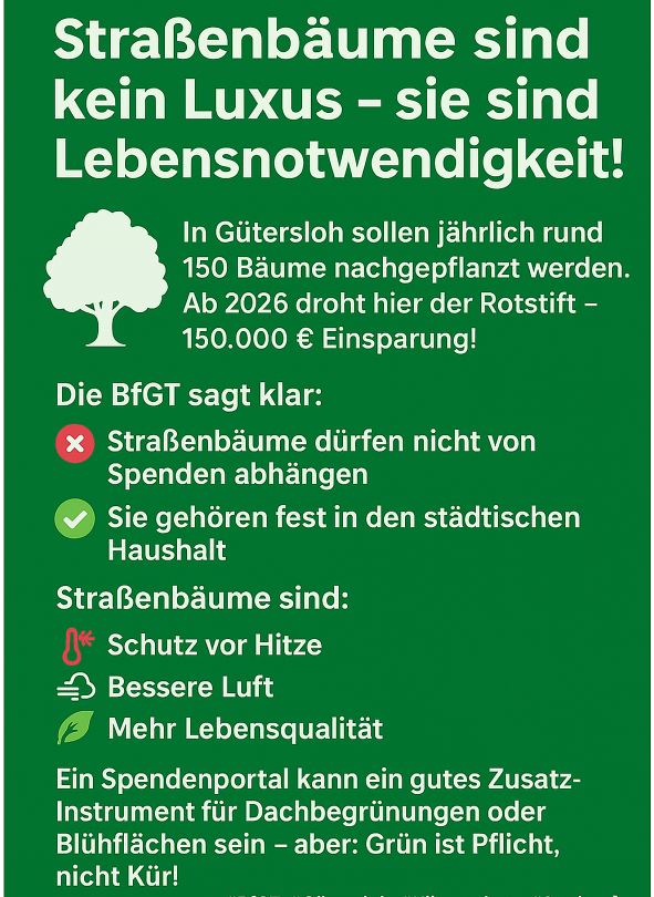 Ein deutsches Informationsplakat, das die Bedeutung von Straßenbäumen hervorhebt, ihren Nutzen unterstreicht und darauf hinweist, dass die Neupflanzung von Bäumen kein Luxus, sondern eine Notwendigkeit ist, mit entsprechenden ökologischen und finanziellen Fakten.