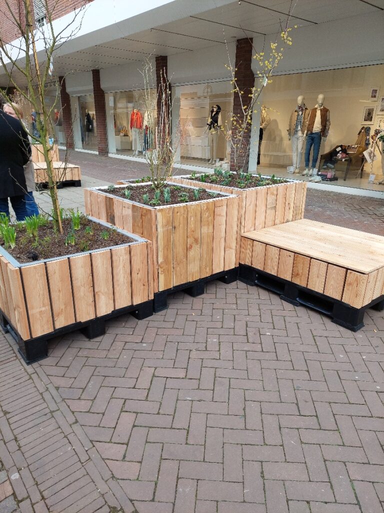 Holzpflanzgefäße mit kleinen Bäumen und Pflanzen auf einem gepflasterten Gehweg in der Nähe eines Bekleidungsgeschäfts mit Schaufensterpuppen im Schaufenster.